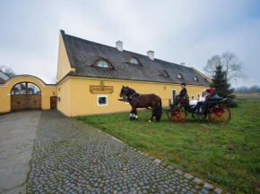 Гостиница Dvůr Olšiny -Hotel and Horse-riding  Карвина